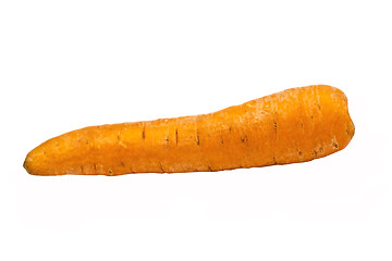 Image showing Carrot 