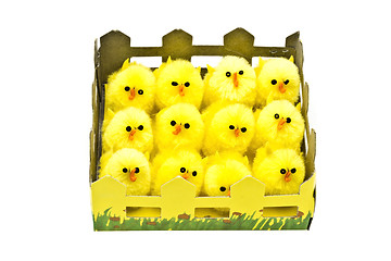 Image showing Yellow chickens