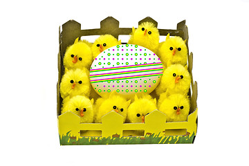 Image showing Yellow chickens and easter egg