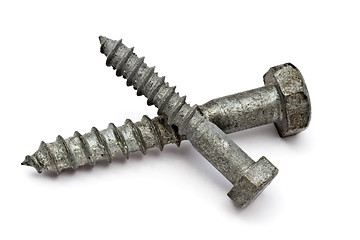 Image showing Two screws