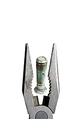 Image showing pliers head bolt