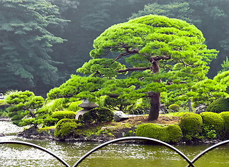 Image showing Japanese park in summer