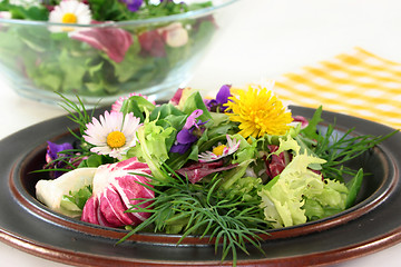 Image showing Wild herb salad