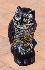 Image showing Patio Owl