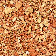 Image showing Soil texture as background