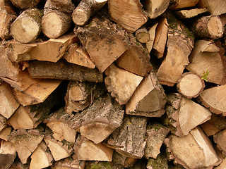 Image showing Woodpile