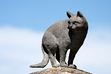Image showing Cat in La Romieu