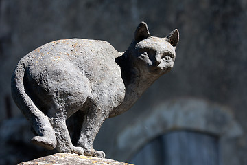 Image showing Cats in La Romieu