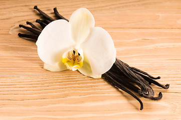 Image showing Vanilla pods and flower