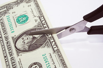 Image showing Dollar cut