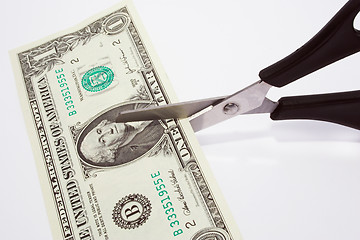 Image showing Dollar cutting