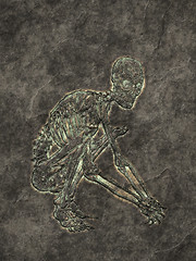 Image showing skeleton