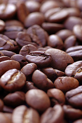 Image showing Coffee Bean Texture