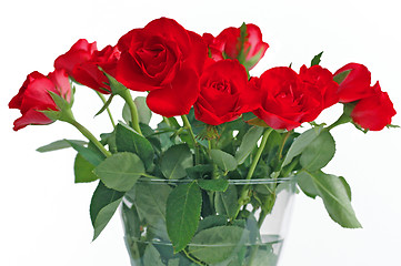 Image showing  Bouquet of red roses in vase