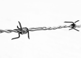 Image showing Barbwire