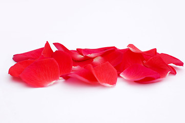 Image showing Rose Petals Border