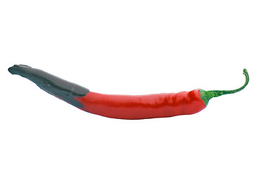 Image showing Red Hot Pepper With Cholcolate 