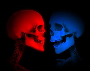 Image showing Red And Blue Skeletons 