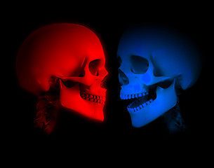 Image showing Red And Blue Skeletons 