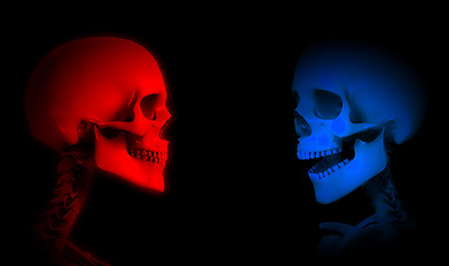 Image showing Red And Blue Skeletons 