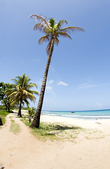 Image showing Waula Point Paraiso Beach Corn Island Nicaragua