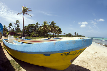 Image showing fishing boat with coconut trees Waula Point Corn Island Nicaragu