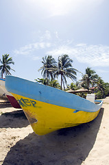 Image showing fishing boat with coconut trees Waula Point Corn Island Nicaragu