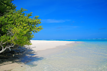 Image showing Meeru Island