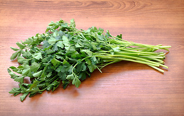 Image showing Parsley  99