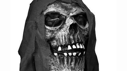 Image showing Halloween skull