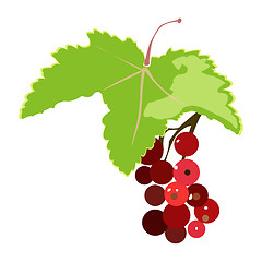 Image showing bunch of red currant illustration