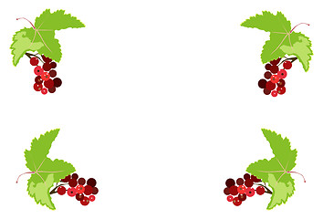 Image showing bunch of red currant frame