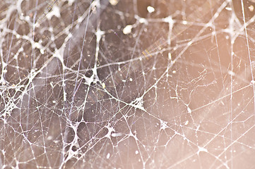 Image showing Spiderweb