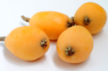 Image showing Loquat fruits