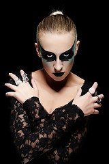 Image showing Black swan