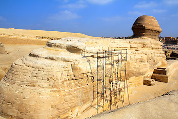 Image showing famous egypt sphinx in Giza from behind