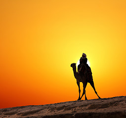 Image showing bedouin on camel silhouette against sunrise