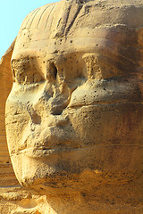 Image showing egypt sphinx face