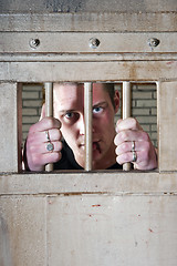 Image showing Prisoner