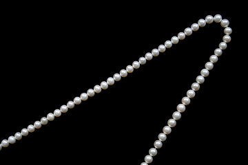 Image showing White pearls on the black velvet  background