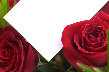 Image showing Red rose and greeting card 1