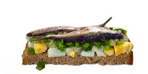 Image showing The Estonian national sandwich 3