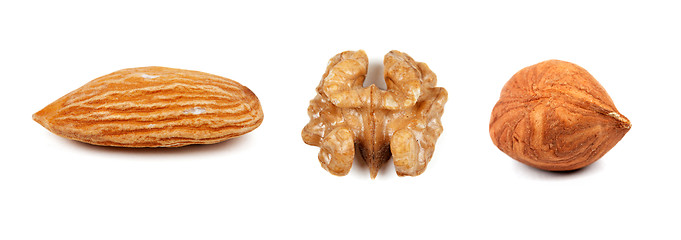 Image showing collage of the three nuts