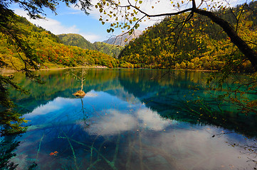 Image showing Forest and lake landscape of China jiuzhaigou