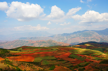 Image showing Field landscapes