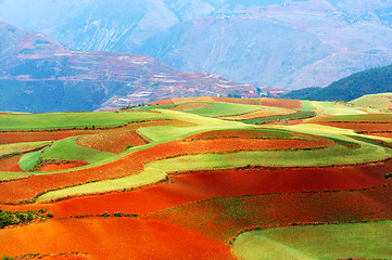 Image showing Beautiful fields landscapes