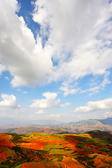 Image showing Field landscapes