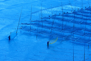 Image showing Fishermen working near the seaweed farm