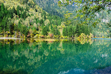 Image showing Forest and lake landscape of China jiuzhaigou