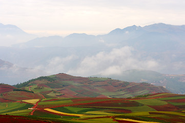 Image showing Fields landscapes